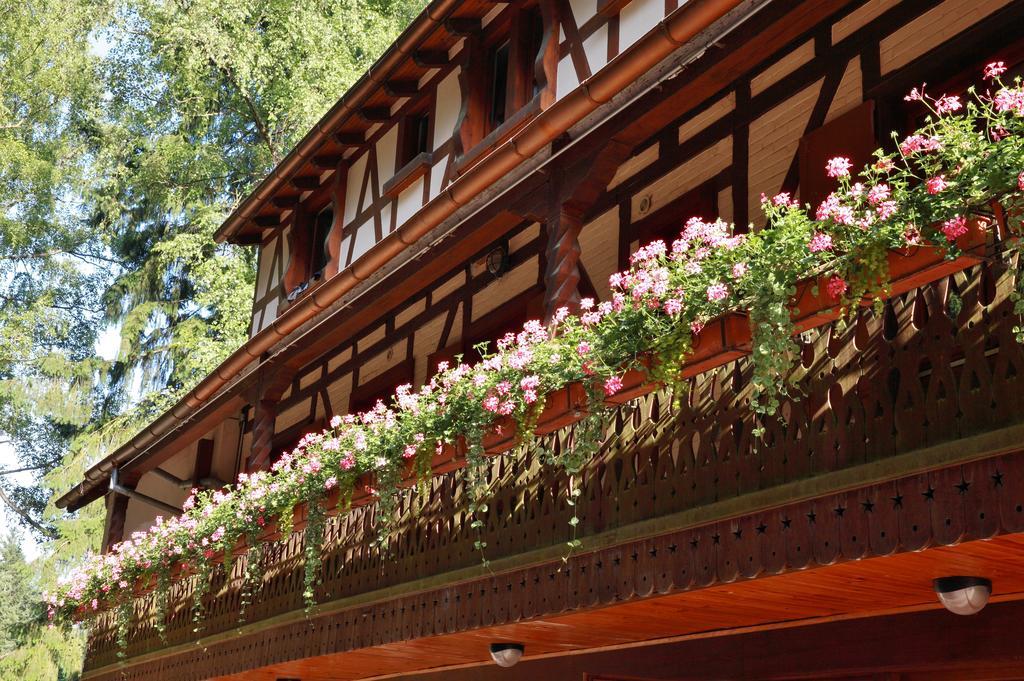 Hotel-Restaurant Du Chateau D'Andlau Barr Extérieur photo