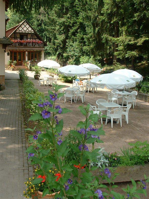 Hotel-Restaurant Du Chateau D'Andlau Barr Extérieur photo