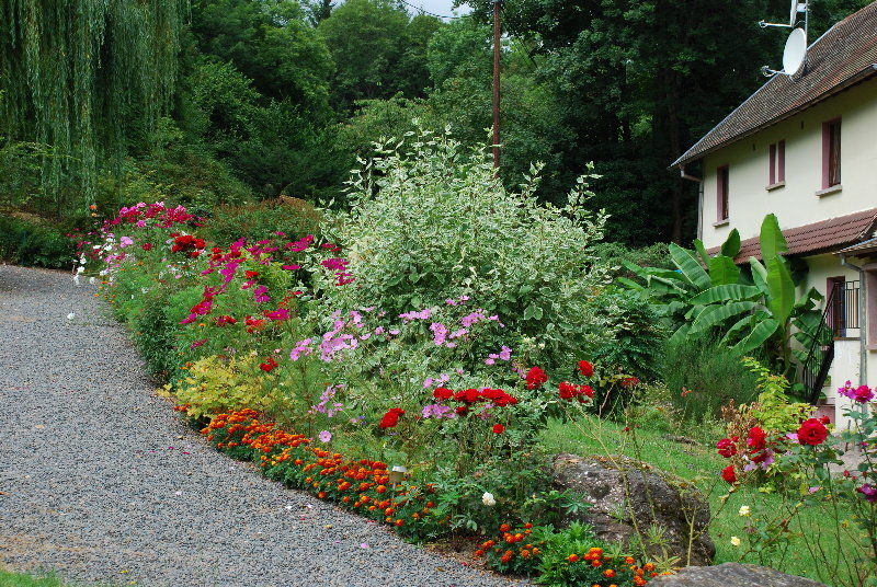 Hotel-Restaurant Du Chateau D'Andlau Barr Extérieur photo